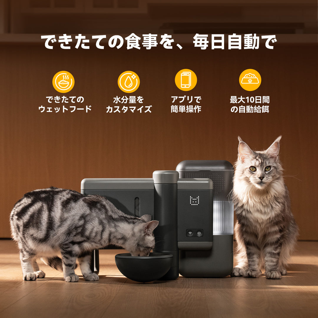 Neakasa Rikoの毎日自動給餌機能