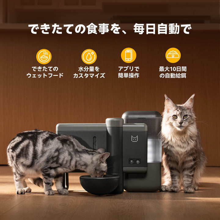 Neakasa Rikoの毎日自動給餌機能