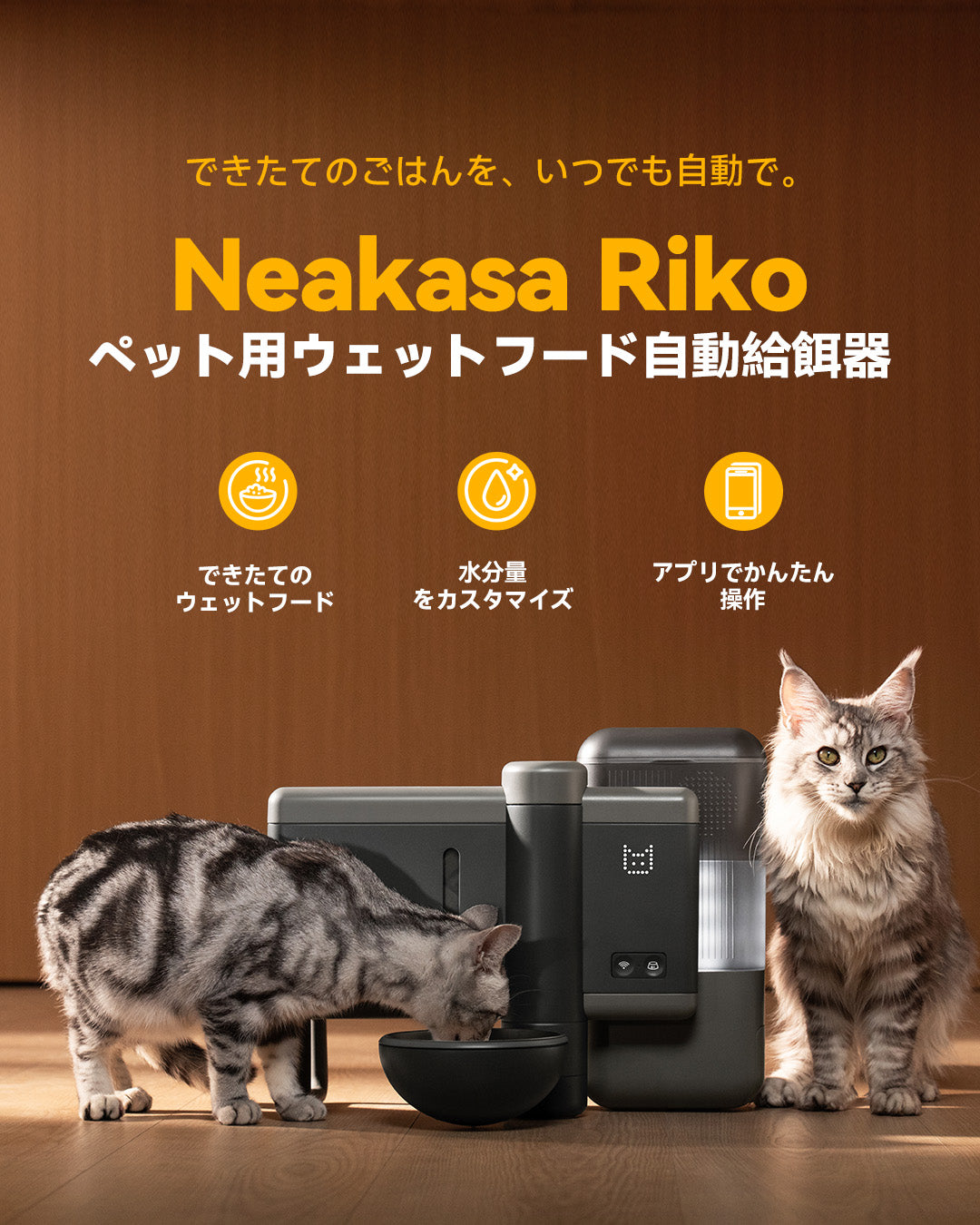Neakasa Rikoグレーと猫