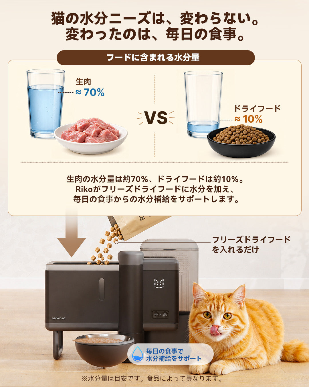 猫の食事に合わせたRikoのフード水分量調整